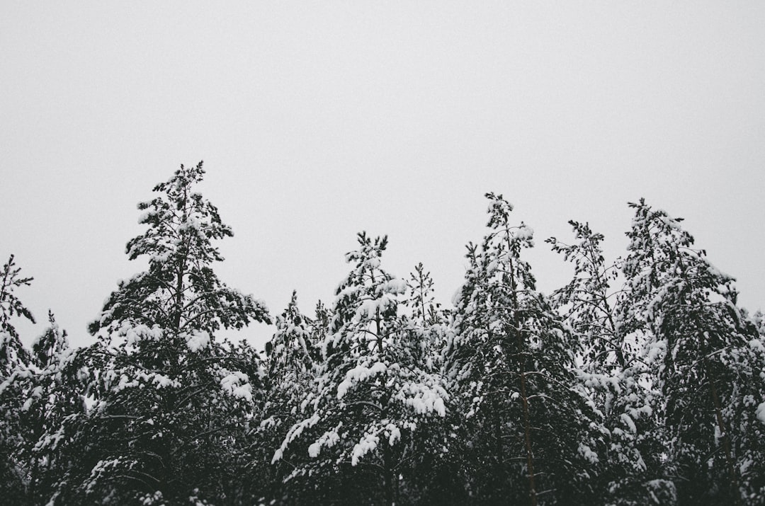 Illustration for What Is Climate?